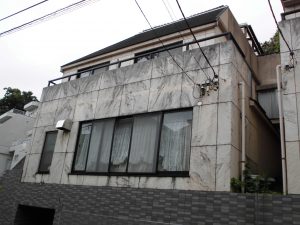 hasegawa bf