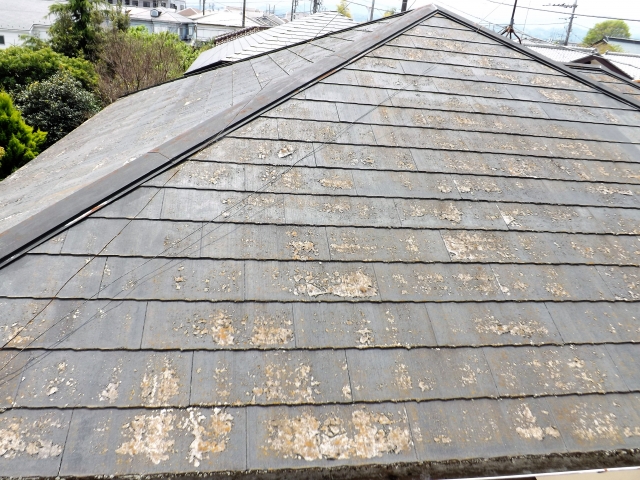 横浜の方に向けて!屋根塗装の劣化の症状を解説 - 川崎市の外壁塗装専門店「池田塗装」