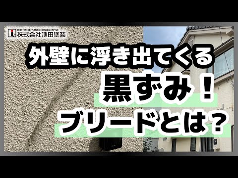 外壁に浮き出てくる黒ずみ！ブリードとは？【予防と対処方法】