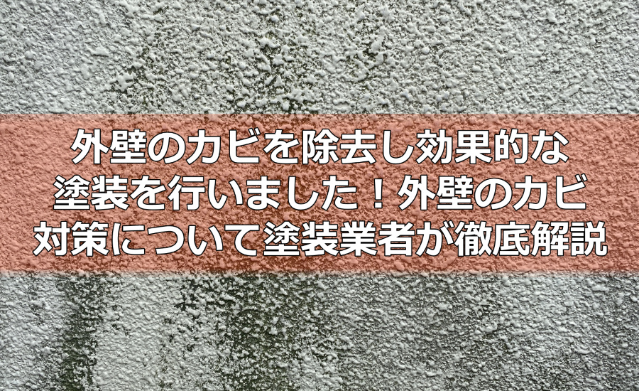 外壁のカビを除去し効果的な塗装を行いました！