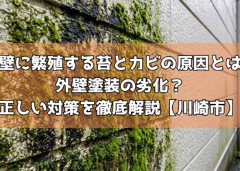 外壁に繁殖する苔とカビの原因とは？外壁塗装の劣化？正しい対策を徹底解説【川崎市】