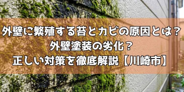 外壁に繁殖する苔とカビの原因とは?外壁塗装の劣化?正しい対策を徹底解説【川崎市】