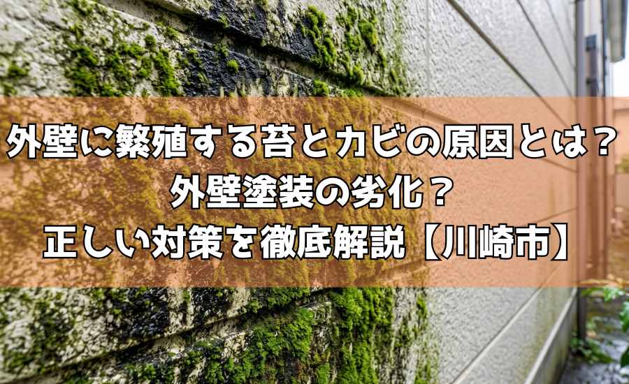 外壁に繁殖する苔とカビの原因とは?外壁塗装の劣化?正しい対策を徹底解説【川崎市】
